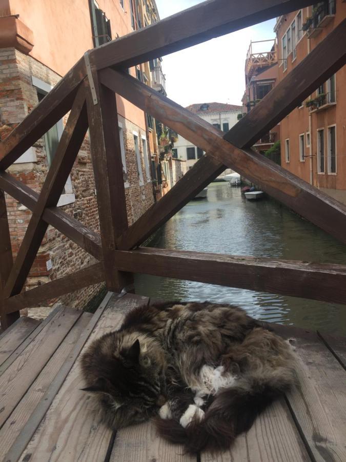 Tintoretto 4, 3 Grandi Camere Da Letto, 2 Bagni ヴェネツィア エクステリア 写真